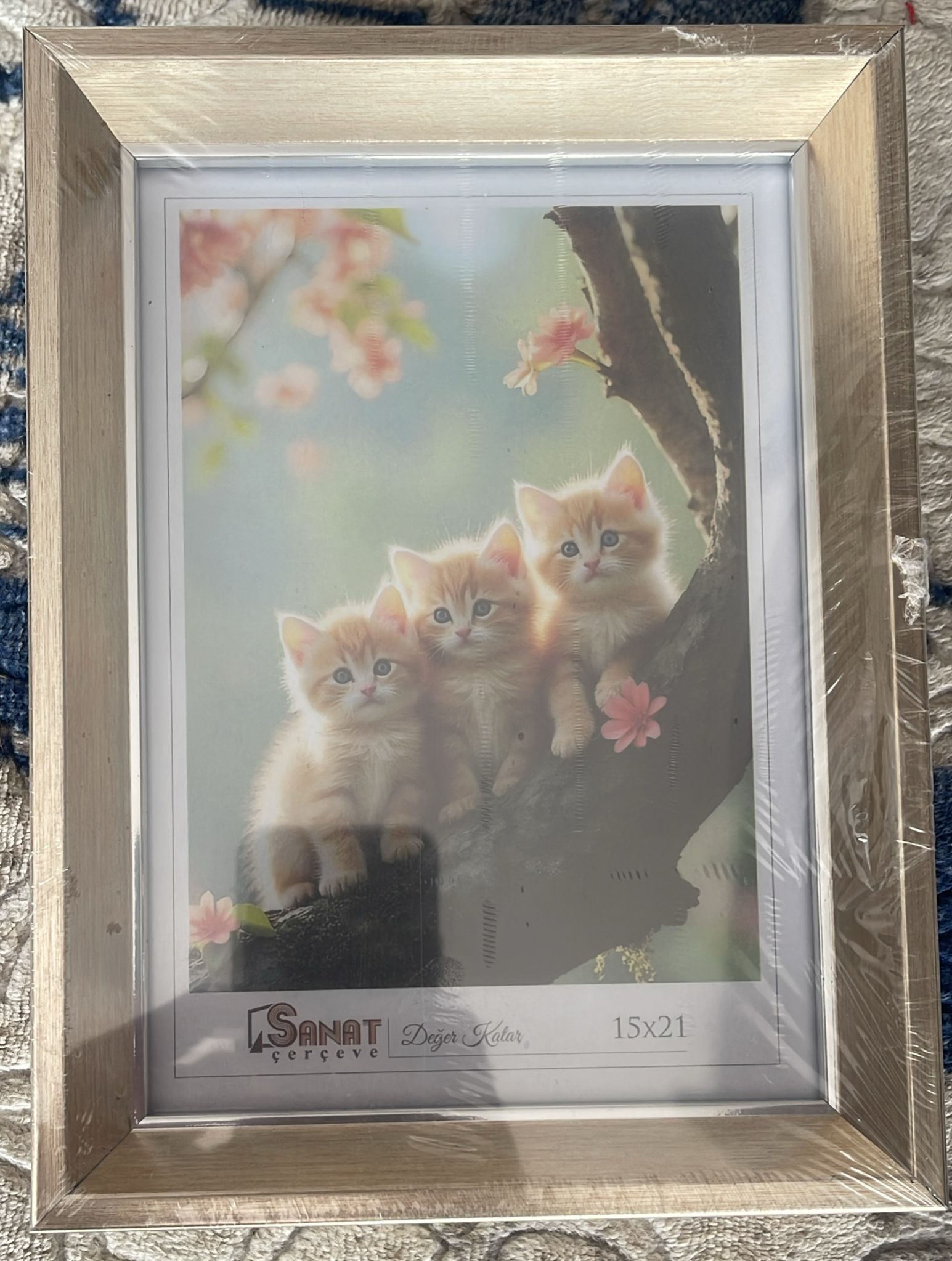 Gümüş Çerçeve 15x21